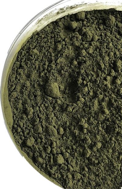 Chlorella Powder.jpg