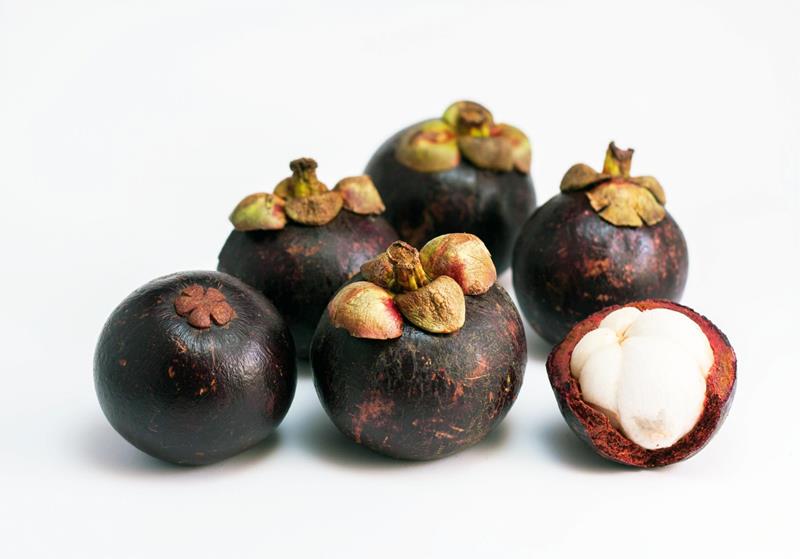 Mangosteen Juice Powder