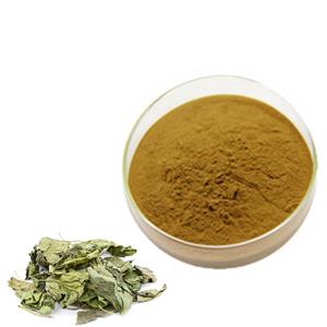 Pure Mulberry Leaf Extract Powder_副本