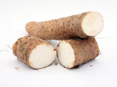 Wild Yam Extract Powder