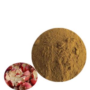 pomegranate bark extract powder