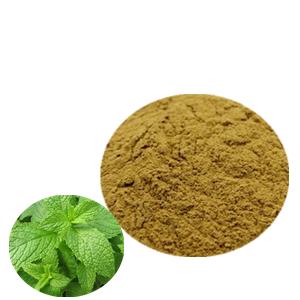 Wild Mint Herb Extract Powder