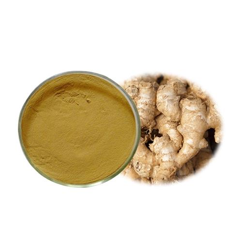 Ginger Root Extract3