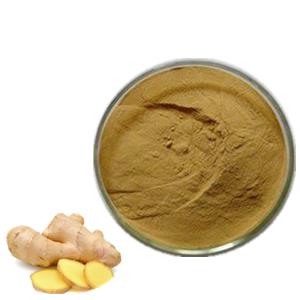 Ginger Root Extract Powder