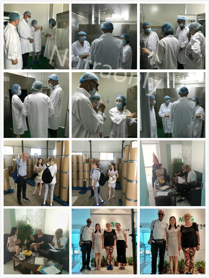 Visiting Our Organic Plant Extract Factory