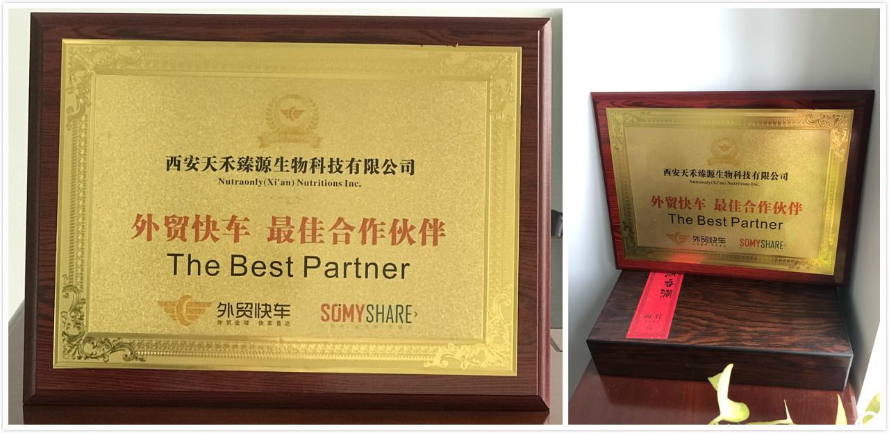 Honorary Certificate of  The Best Partner 