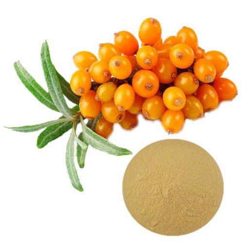 sea-buckthorn-extract-powder-500x500