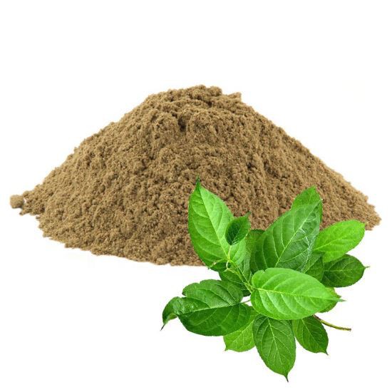 Gymnema Sylvestre Extract Powder