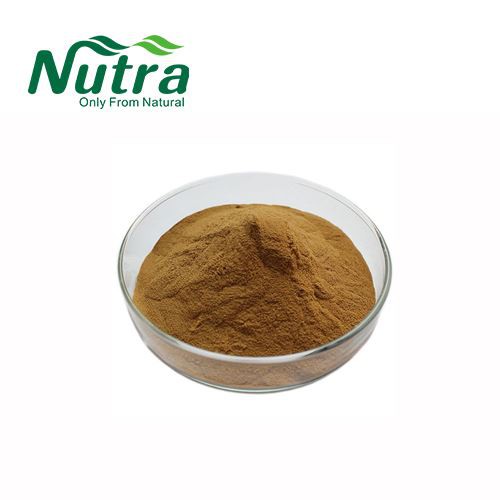 Shu Di Huang extract powder