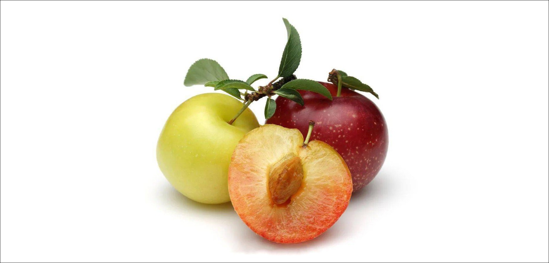 What are the benefits and functions of plums1