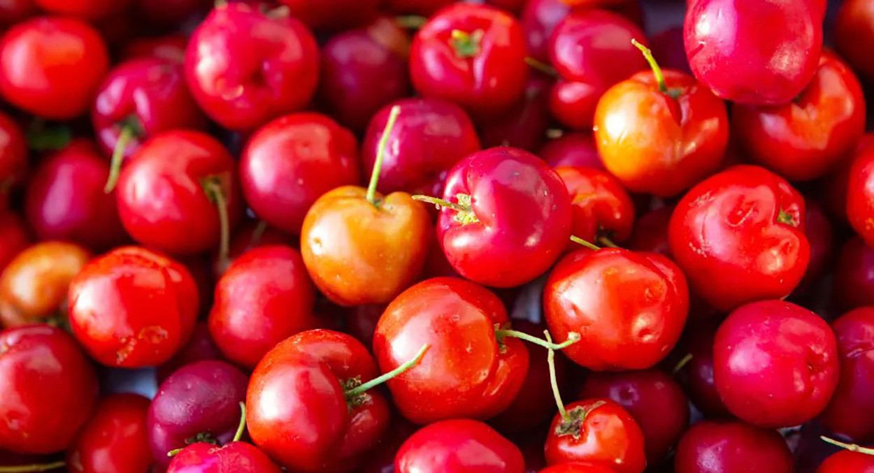 What are the benefits and functions of acerola cherries-2