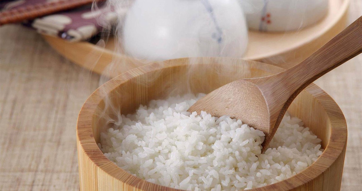 What is the nutrition and function of rice protein-1