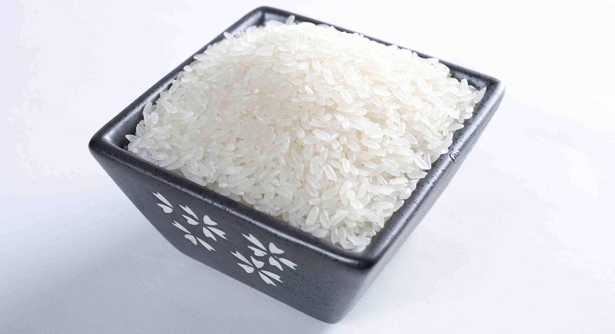 What is the nutrition and function of rice protein-2