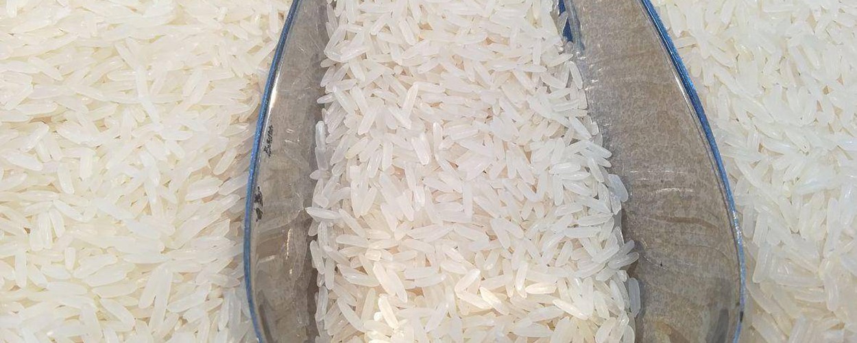 What is the nutrition and function of rice protein-4