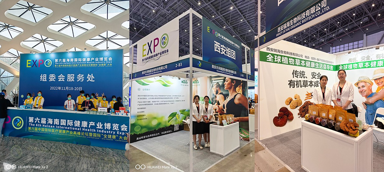 6th Hainan International Health Industry Expo in 2022