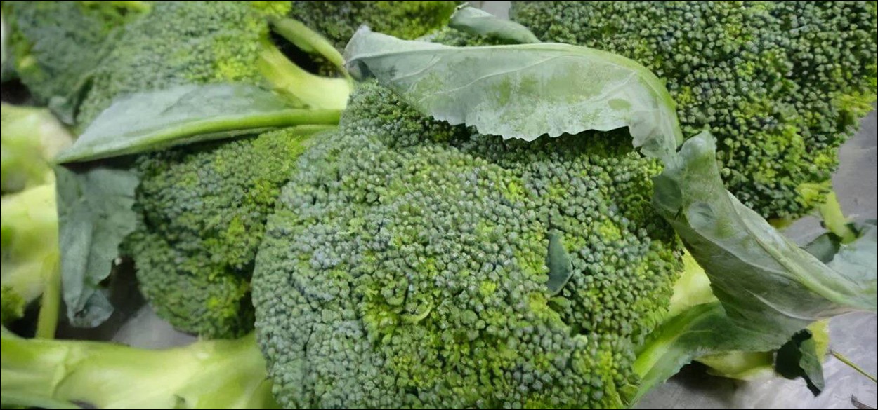 What are the benefits and functions of broccoli-8