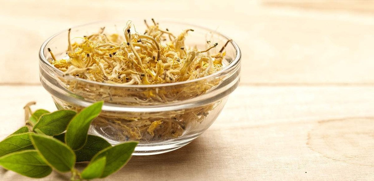 What are the benefits and functions of honeysuckle-11