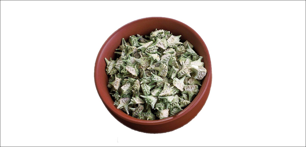 Tribulus Terrestris Extract-4