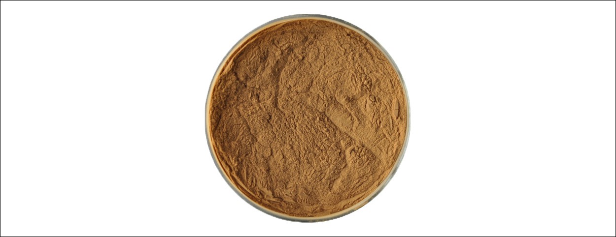 Horsetail Extract-1