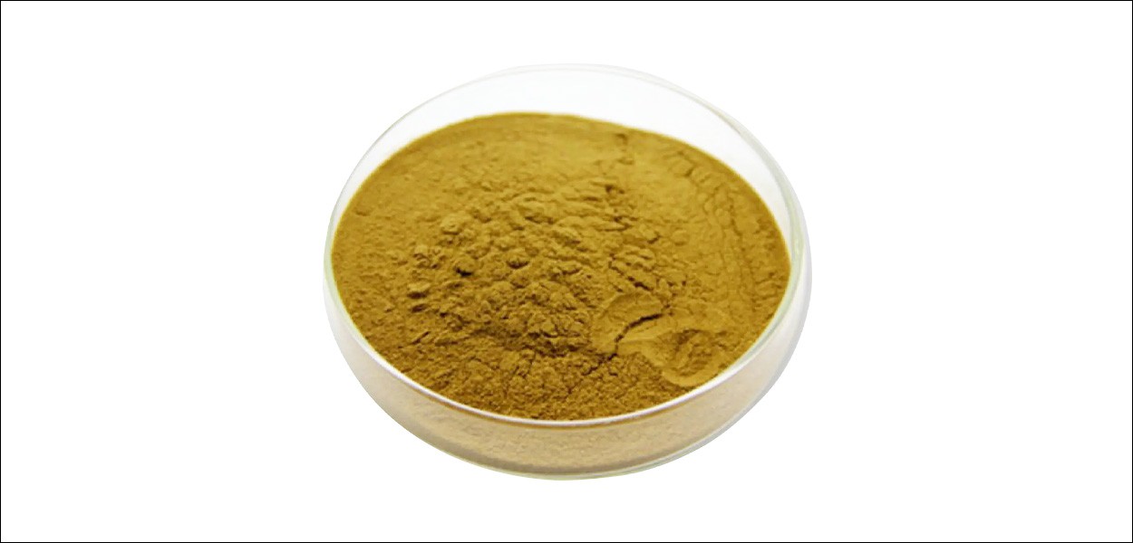 saw palmetto extract-1