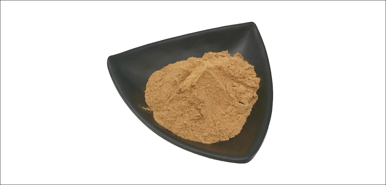 saw palmetto extract-2