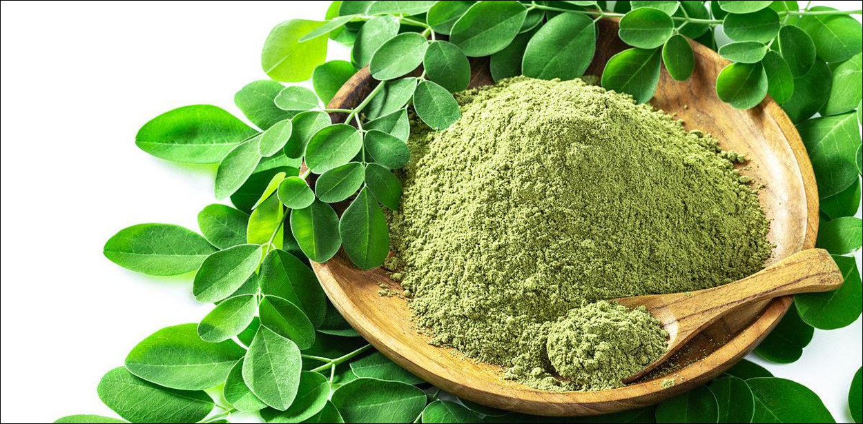 How much do you know about Moringa leaf powder-3