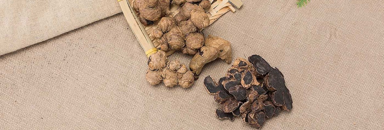 How much do you know about black ginger extract-7