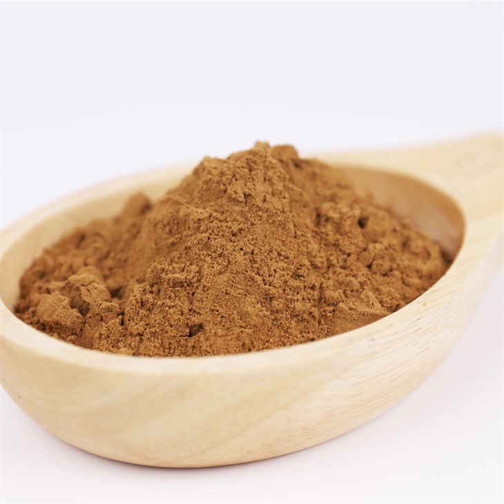 Antrodia Cinnamomea Extract