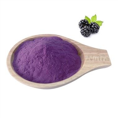 Organic Black Berry Powder