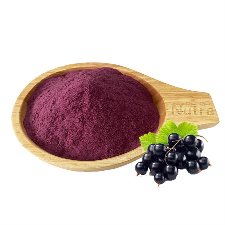 Black Currant Extract