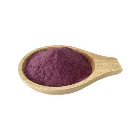 Black Elderberry Extract Powder