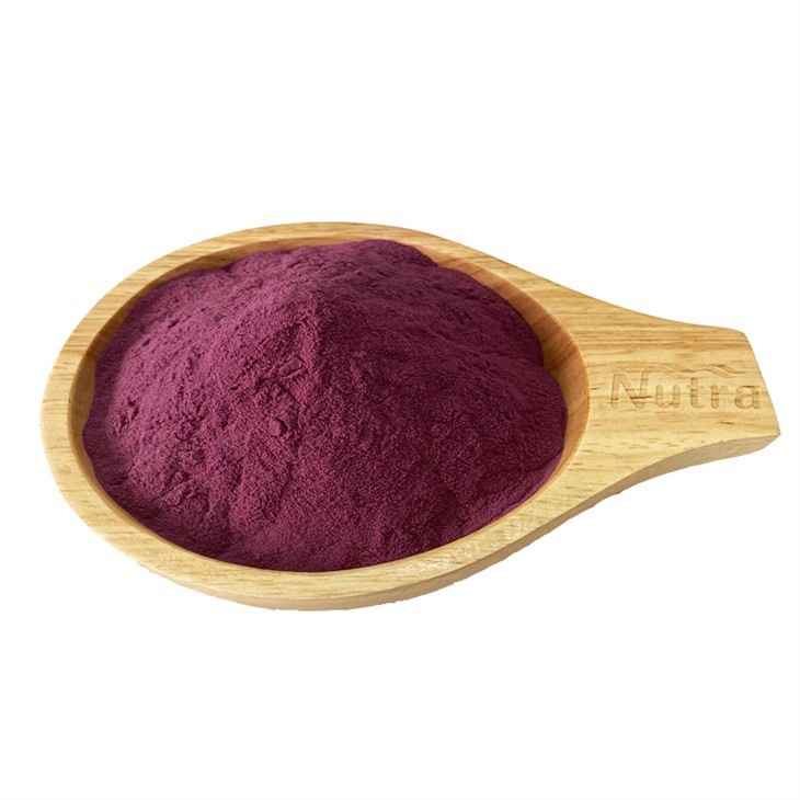 Organic Blackcurrant Powder