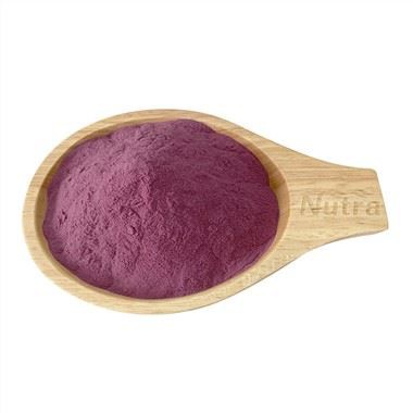 Blueberry Extract Powder