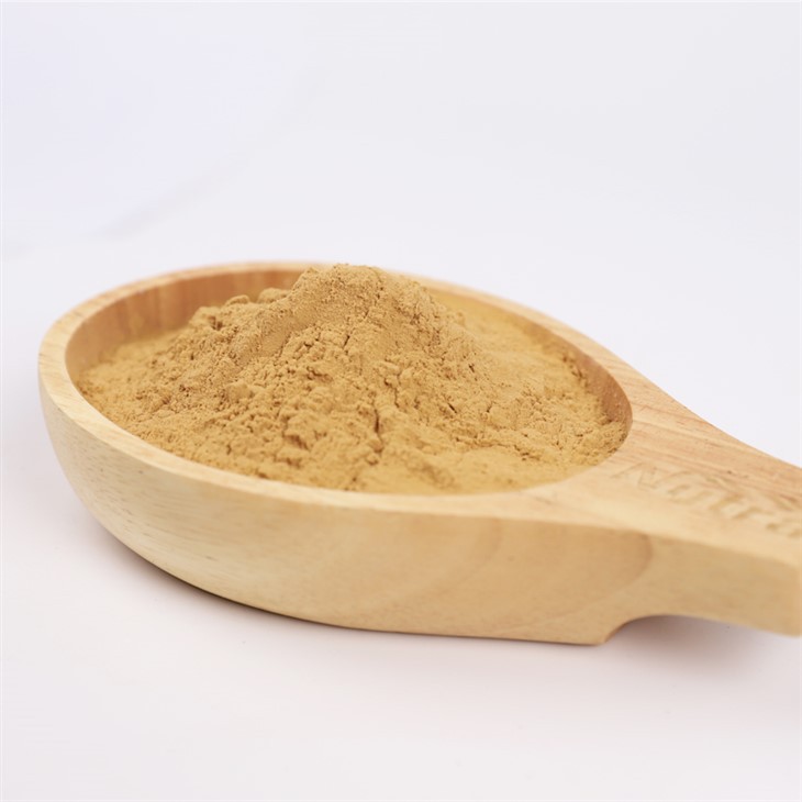 Organic Carrot Extract Powder