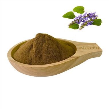 Coleus Forskohlii Extract