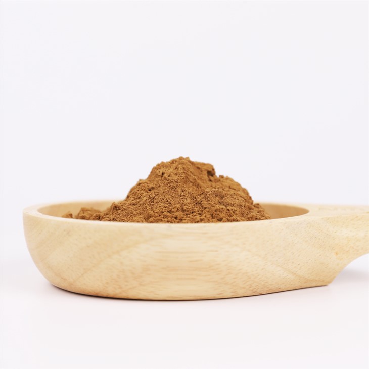 Cordyceps Extract