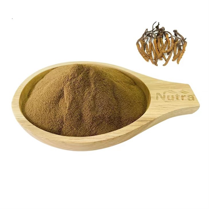 Cordyceps Sinensis Extract