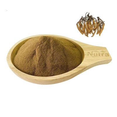 Cordyceps Sinensis Extract