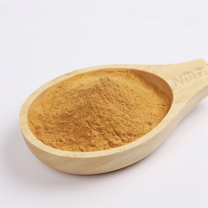 Devil's Claw Extract Powder