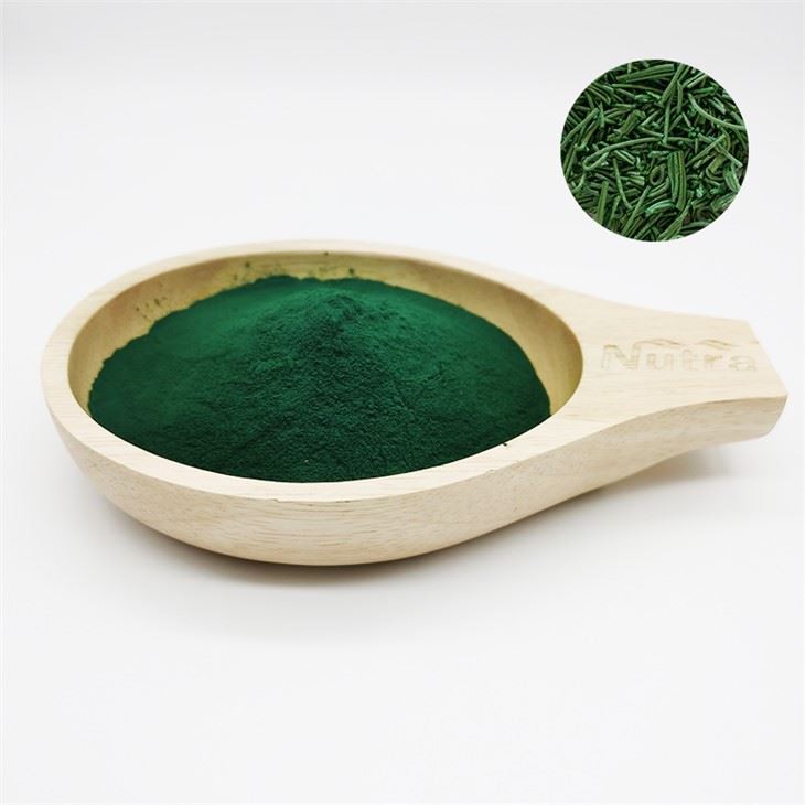 Freeze Dried Spirulina Powder