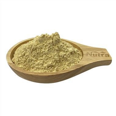 Galangal Root Extract Powder