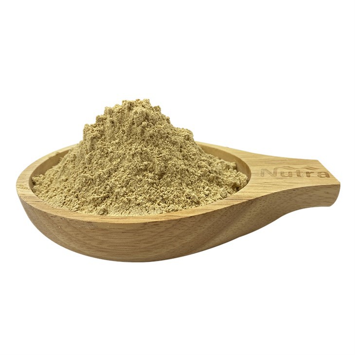 Ginkgo Biloba Extract