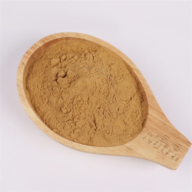 Gymnema Sylvestre Extract Powder