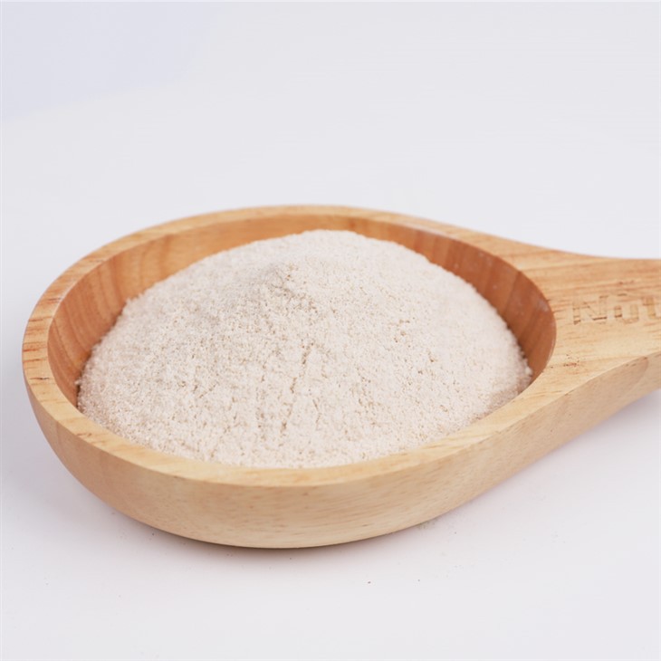 Hydrolyzed Oat Milk Powder