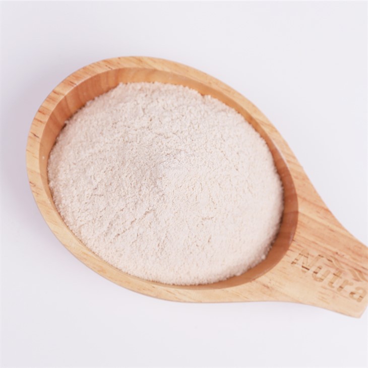 Hydrolyzed Oat Milk Powder