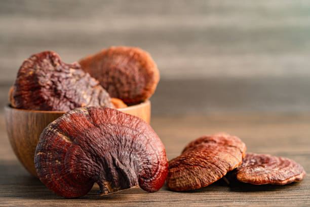 The Ultimate Guide to Organic Reishi Mushroom Extract Health Benefits