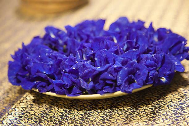 What Can You Do with Butterfly Pea Flower Powder?