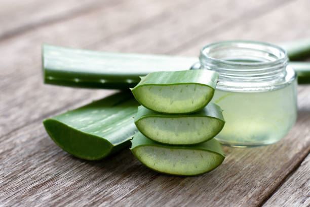 Bioactive Properties And Potential Applications of Aloe Vera Extract?