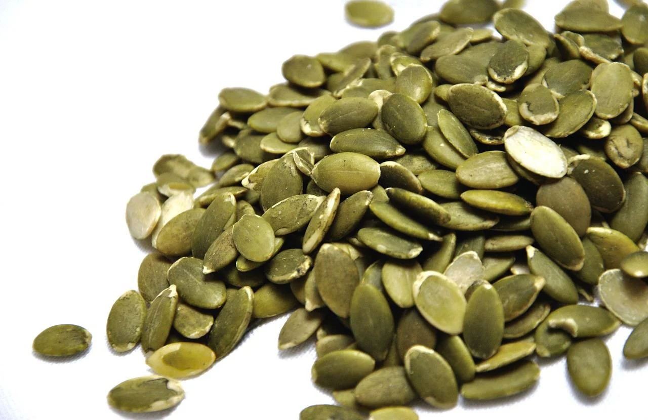 Six health benefits and functions of pumpkin seed protein