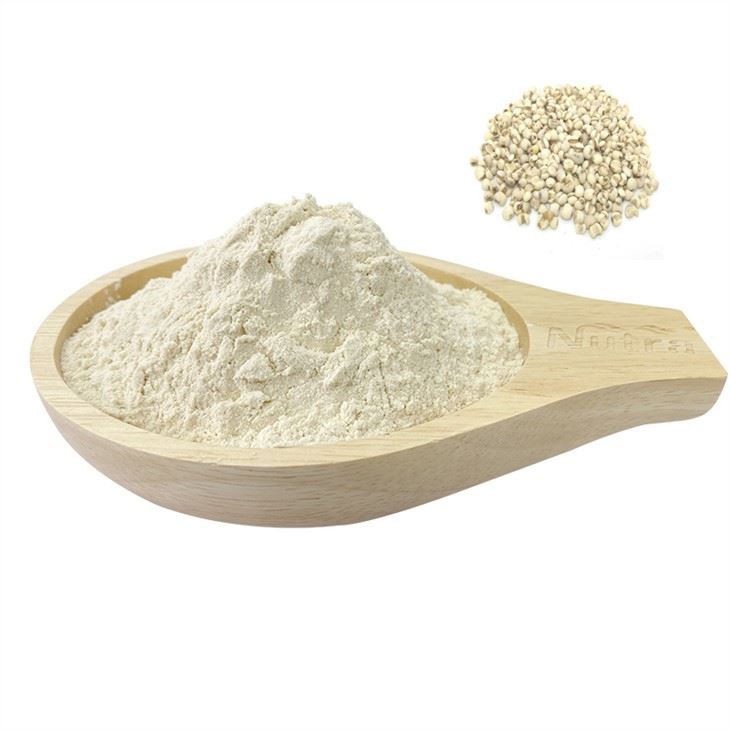 Coix Seed Powder